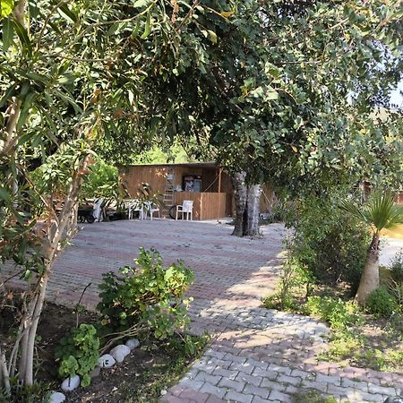 Çirali Natural Lıfe Bungalows Hotel Dış mekan fotoğraf