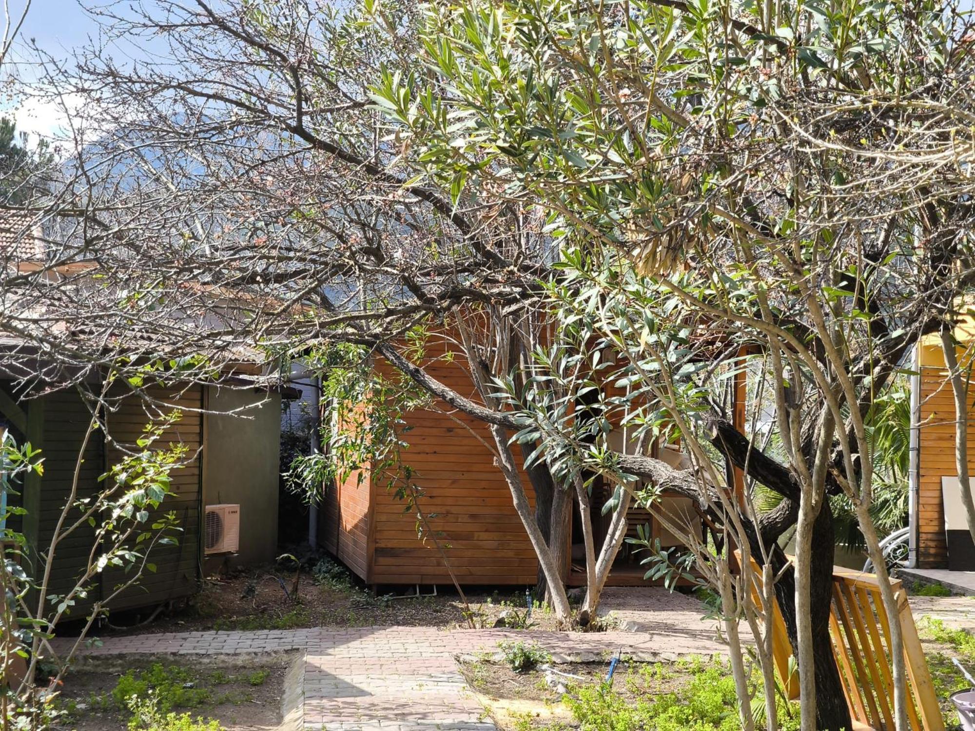 Çirali Natural Lıfe Bungalows Hotel Dış mekan fotoğraf