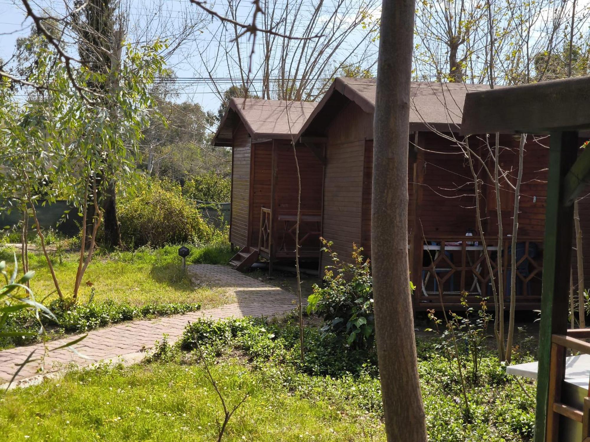 Çirali Natural Lıfe Bungalows Hotel Dış mekan fotoğraf