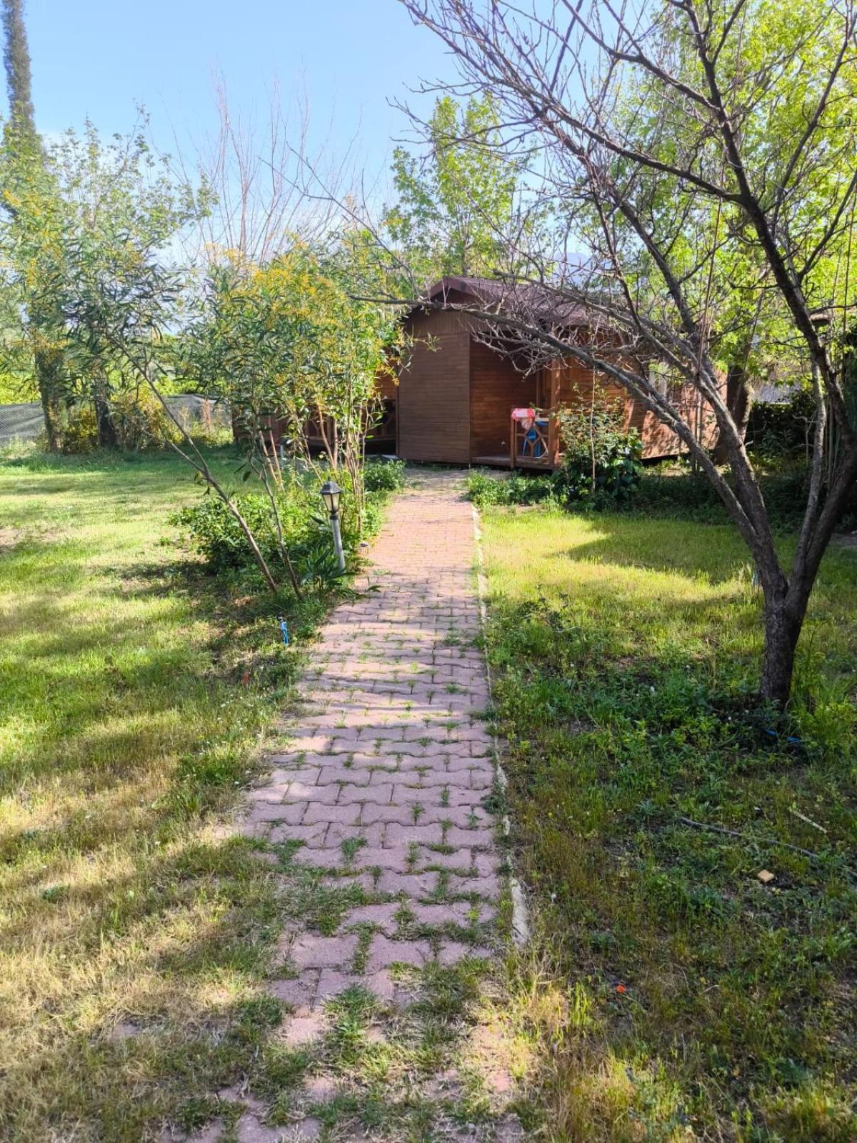 Çirali Natural Lıfe Bungalows Hotel Dış mekan fotoğraf
