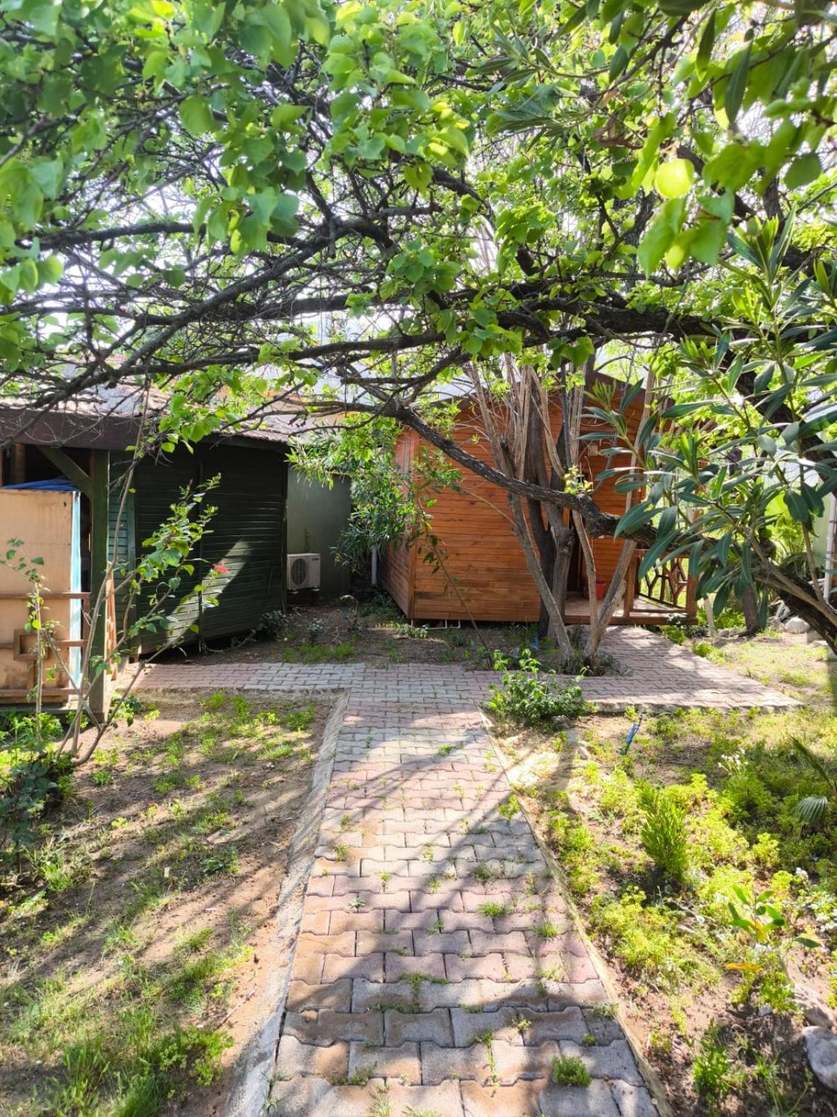 Çirali Natural Lıfe Bungalows Hotel Dış mekan fotoğraf