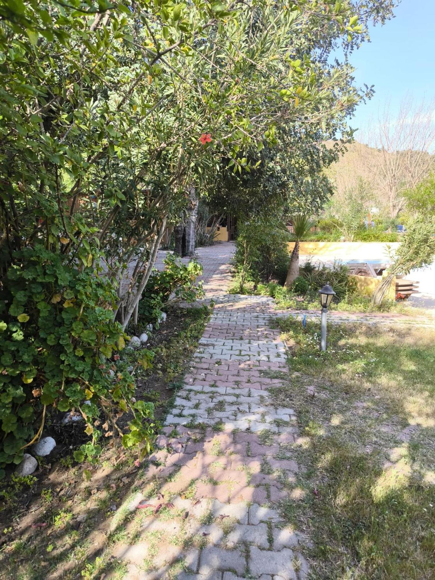 Çirali Natural Lıfe Bungalows Hotel Dış mekan fotoğraf