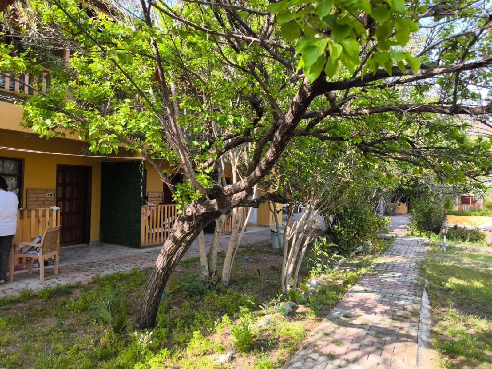 Çirali Natural Lıfe Bungalows Hotel Dış mekan fotoğraf